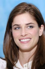 AMANDA PEET at Something