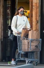 APRIL LOVE GEARY Out Shopping in Malibu 02/17/2021