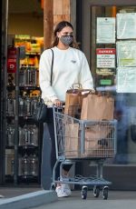 APRIL LOVE GEARY Out Shopping in Malibu 02/17/2021