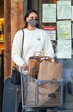 APRIL LOVE GEARY Out Shopping in Malibu 02/17/2021
