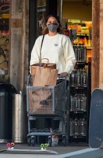 APRIL LOVE GEARY Out Shopping in Malibu 02/17/2021