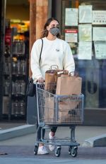 APRIL LOVE GEARY Out Shopping in Malibu 02/17/2021