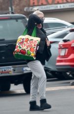 ARIEL WINTER Out Shopping in Studio City 02/01/2021