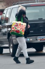 ARIEL WINTER Out Shopping in Studio City 02/01/2021
