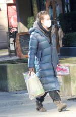 BRITT ROBERTSON Out Shopping in Vancouver 02/07/2021