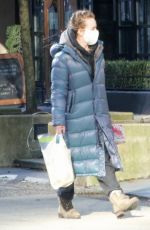 BRITT ROBERTSON Out Shopping in Vancouver 02/07/2021
