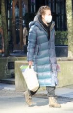 BRITT ROBERTSON Out Shopping in Vancouver 02/07/2021