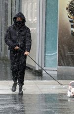 CAMILA MENDES and MADELAINE PETSCH Out with Their Dogs in Vancouver 02/13/2021