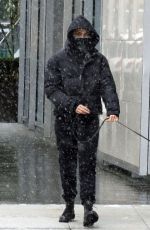 CAMILA MENDES and MADELAINE PETSCH Out with Their Dogs in Vancouver 02/13/2021