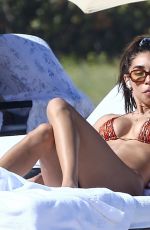 CHANTEL JEFFRIES and JOCELYN CHEW in Bikinis on the Beach in Miami 02/22/2021