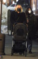 CHLOE SEVIGNY Out and About in New York 02/10/2021
