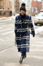 DIANNA AGRON Wearing a Leopard Print Mask Out in New York 02/10/2021