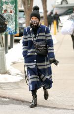 DIANNA AGRON Wearing a Leopard Print Mask Out in New York 02/10/2021