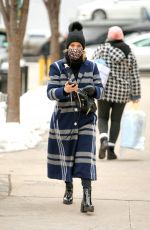DIANNA AGRON Wearing a Leopard Print Mask Out in New York 02/10/2021