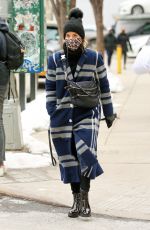 DIANNA AGRON Wearing a Leopard Print Mask Out in New York 02/10/2021