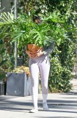 EIZA GONZALEZ Out with a Plant in Los Angeles 02/07/2021