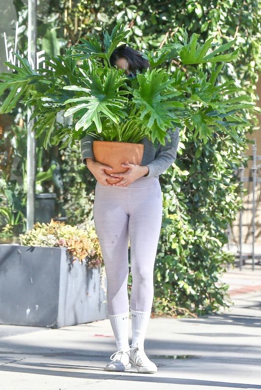 EIZA GONZALEZ Out with a Plant in Los Angeles 02/07/2021