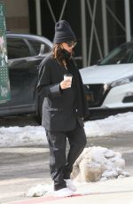 EMILY RATAJKOWSKI and Sebastian Bear-McClard Out with Their Dog in New York 02/20/2021