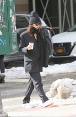 EMILY RATAJKOWSKI and Sebastian Bear-McClard Out with Their Dog in New York 02/20/2021