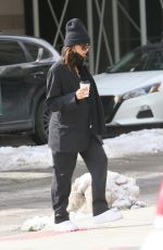 EMILY RATAJKOWSKI and Sebastian Bear-McClard Out with Their Dog in New York 02/20/2021