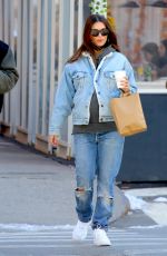 EMILY RATAJKOWSKI and Sebastian Bear McClard Out with Their Dog in New York 02/21/2021