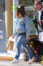 EMILY RATAJKOWSKI and Sebastian Bear McClard Out with Their Dog in New York 02/21/2021