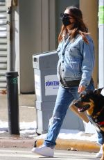 EMILY RATAJKOWSKI and Sebastian Bear McClard Out with Their Dog in New York 02/21/2021