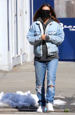 EMILY RATAJKOWSKI and Sebastian Bear McClard Out with Their Dog in New York 02/21/2021