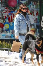 EMILY RATAJKOWSKI and Sebastian Bear McClard Out with Their Dog in New York 02/21/2021