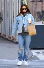 EMILY RATAJKOWSKI and Sebastian Bear McClard Out with Their Dog in New York 02/21/2021
