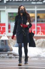 FAMKE JANSSEN Out and About in New York 02/05/2021