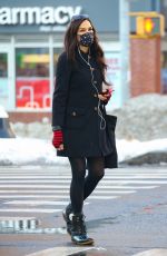 FAMKE JANSSEN Out and About in New York 02/05/2021