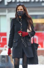 FAMKE JANSSEN Out and About in New York 02/05/2021