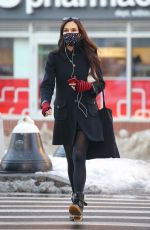 FAMKE JANSSEN Out and About in New York 02/05/2021