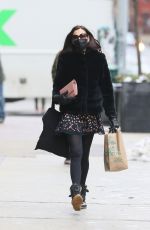 FAMKE JANSSEN Out and About in New York 02/22/2021
