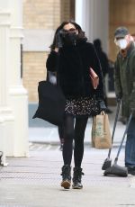 FAMKE JANSSEN Out and About in New York 02/22/2021