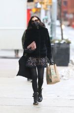 FAMKE JANSSEN Out and About in New York 02/22/2021
