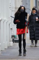 FAMKE JANSSEN Out in New York 02/15/2021