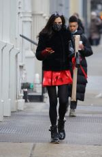 FAMKE JANSSEN Out in New York 02/15/2021