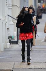 FAMKE JANSSEN Out in New York 02/15/2021