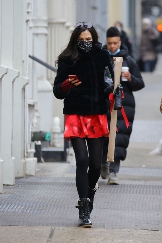 FAMKE JANSSEN Out in New York 02/15/2021