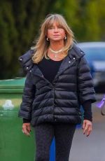 GOLDIE HAWN and Kurt Russell Out with Their Dog in Brentwood 02/15/2021