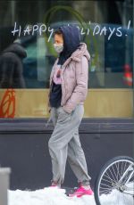 HELENA CHRISTENSEN Heading to a Gym in New York 02/26/2021