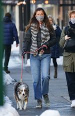 HELENA CHRISTENSEN Out with Her Dog in New York 02/04/2020