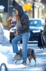 HELENA CHRISTENSEN Out with Her Dog in New York 02/04/2020
