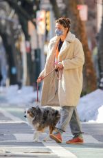 HELENA CHRISTENSEN Out with Her Dog in New York 02/20/2021