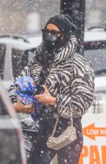 IRINA SHAYK in a Zebra Puffer Jacket on a Snowy Day in New York 02/22/2021