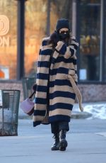 IRINA SHAYK Out and About in New York 02/08/2021