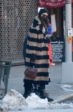 IRINA SHAYK Out and About in New York 02/08/2021