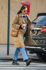 IRINA SHAYK Out in New York 02/24/2021